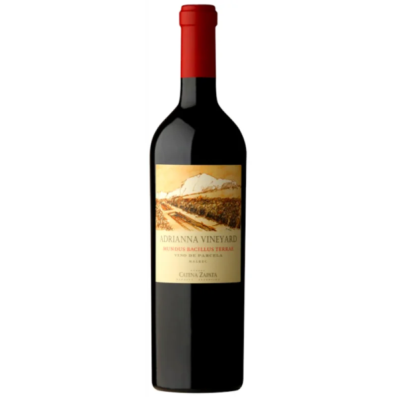Catena Zapata Adrianna Vineyard