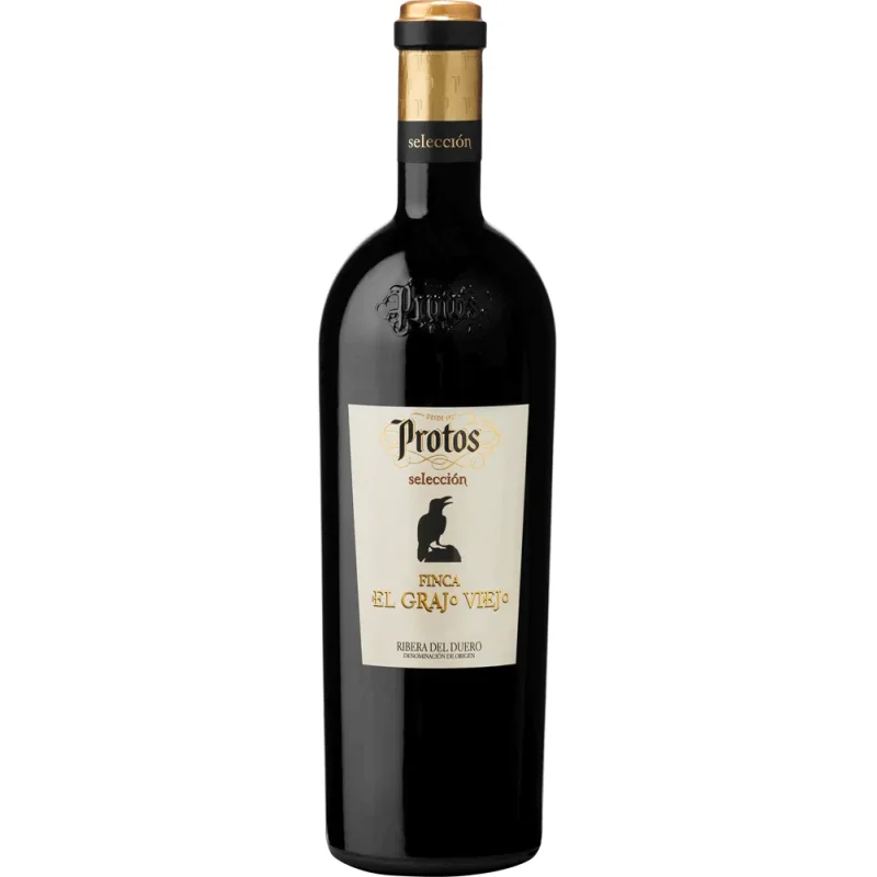 Protos Grajo Viejo
